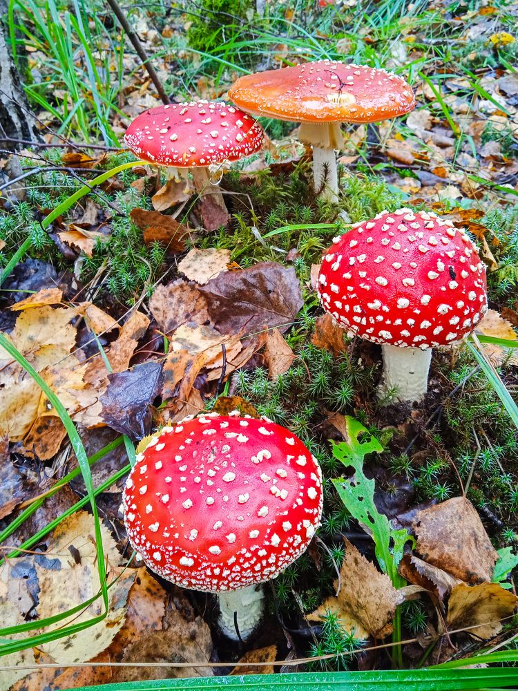 Photograph by Дмитрий Михайлов