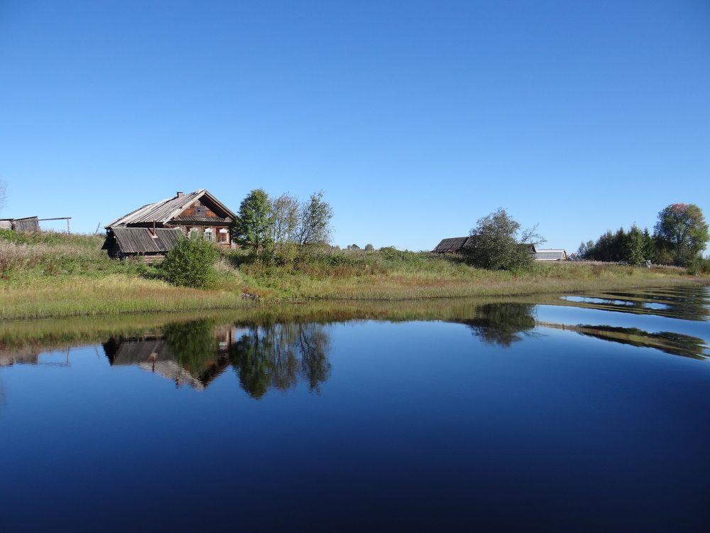 Photo #10267231