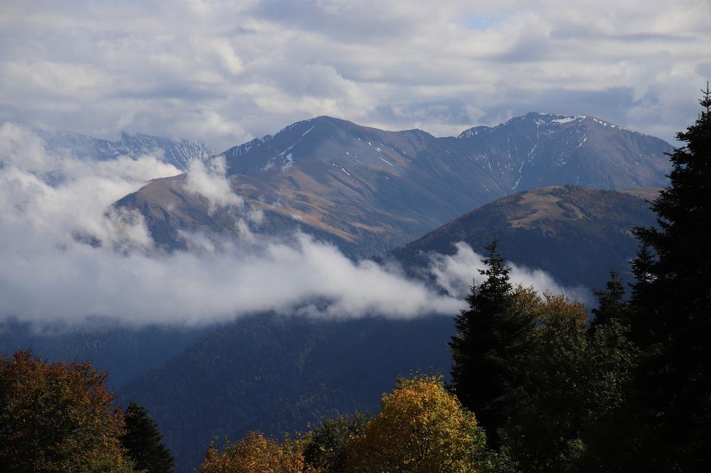 Photograph by Юлия Баринова