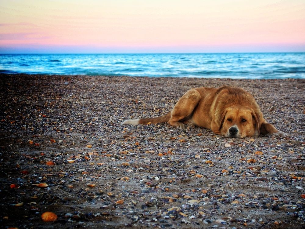 Photograph by Olga Nevedrova