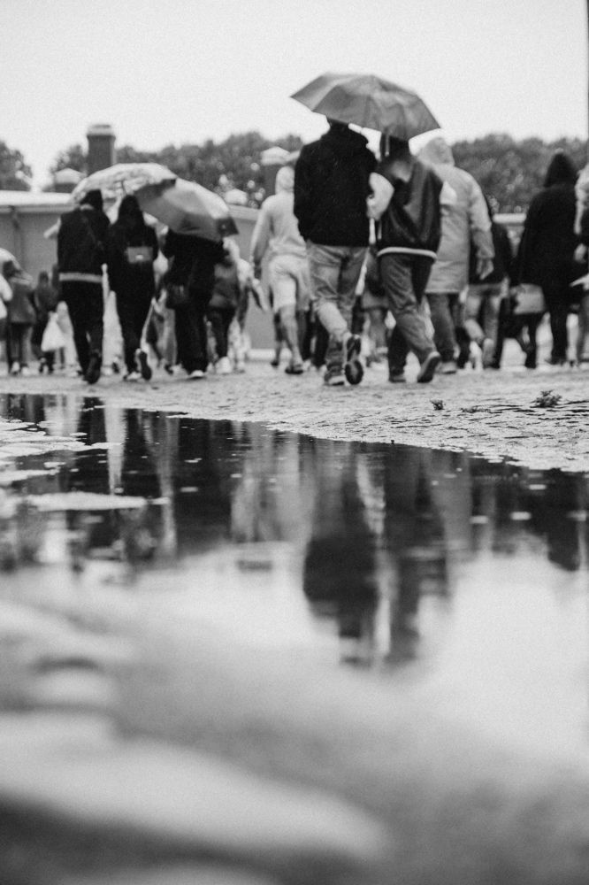 Photograph by Мария Корвин-Кучинская