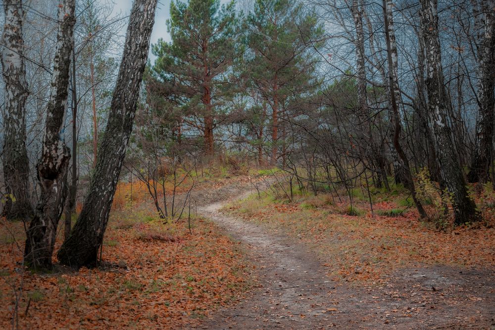 Photograph by Евгений Малинин