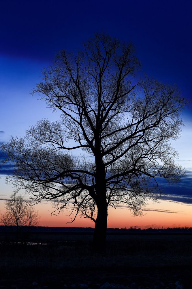 Photograph by Сергей Конюшенко