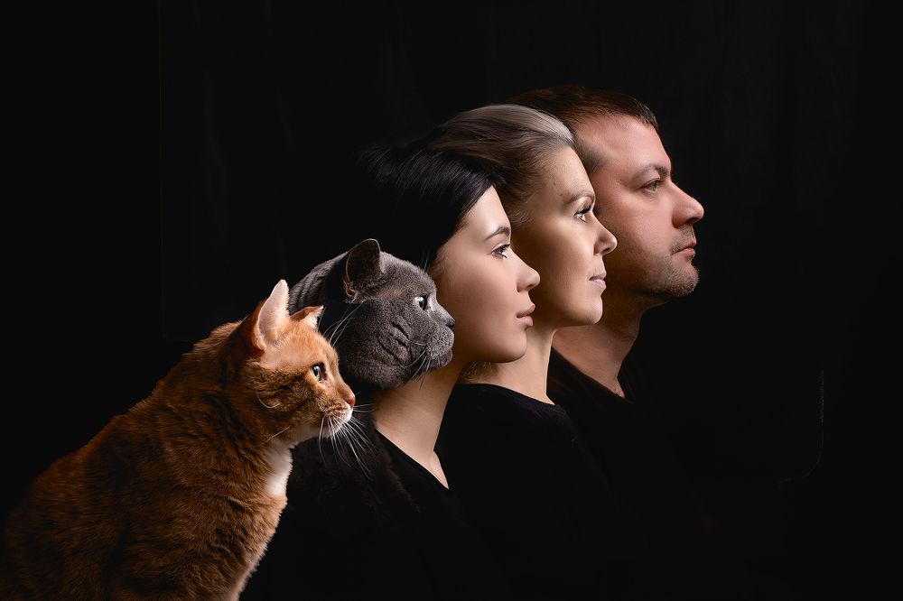 Photograph by Наталья Дунаевская