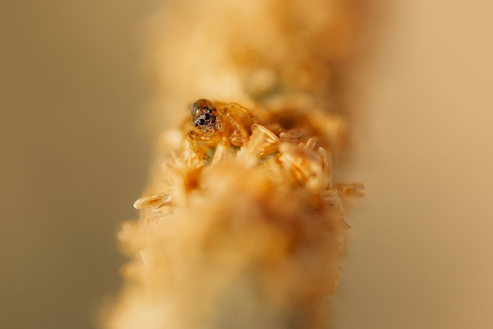 Photograph by Анна Бобкова