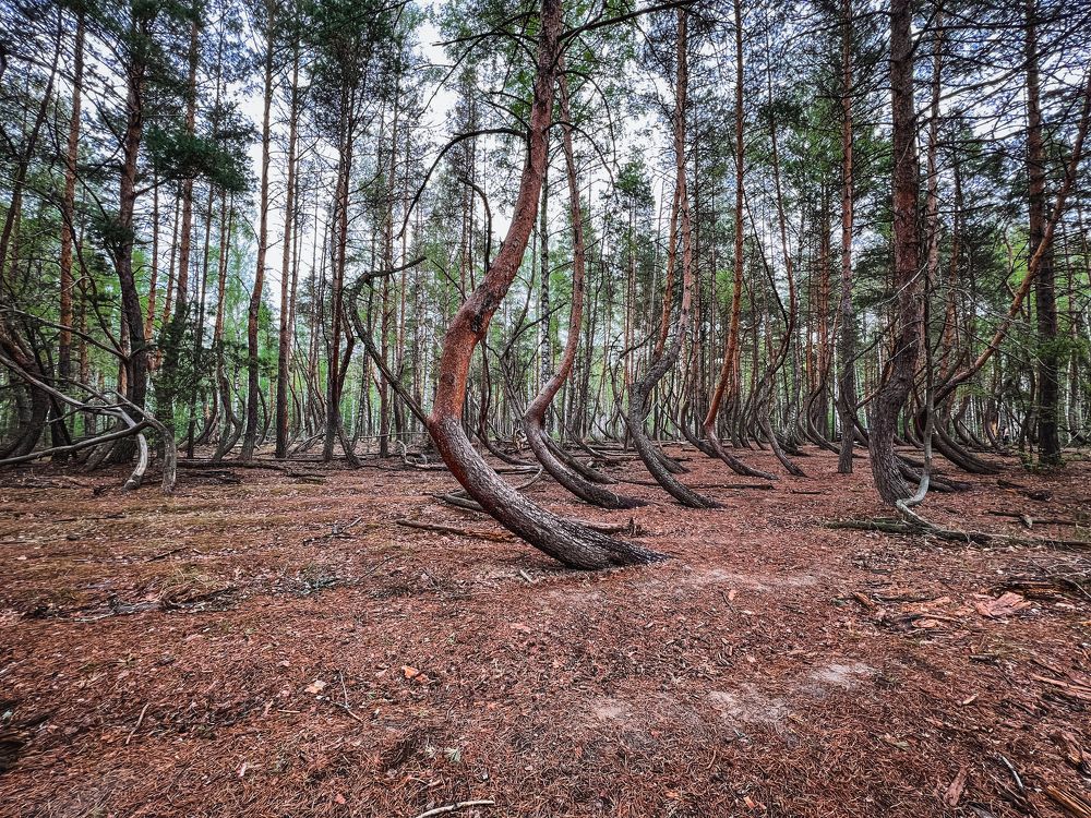 Photograph by Анастасия Юсова