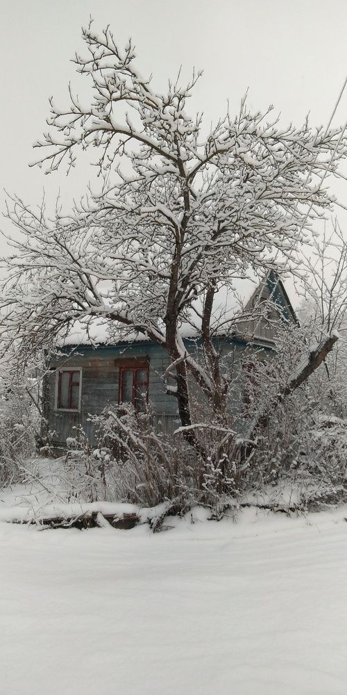 Photograph by Дмитрий Михайлов