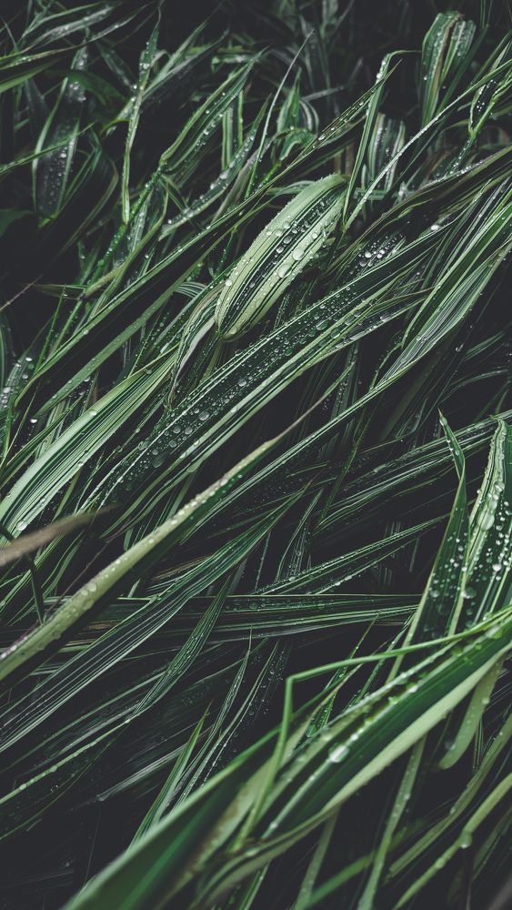 Photograph by Ирина Львова