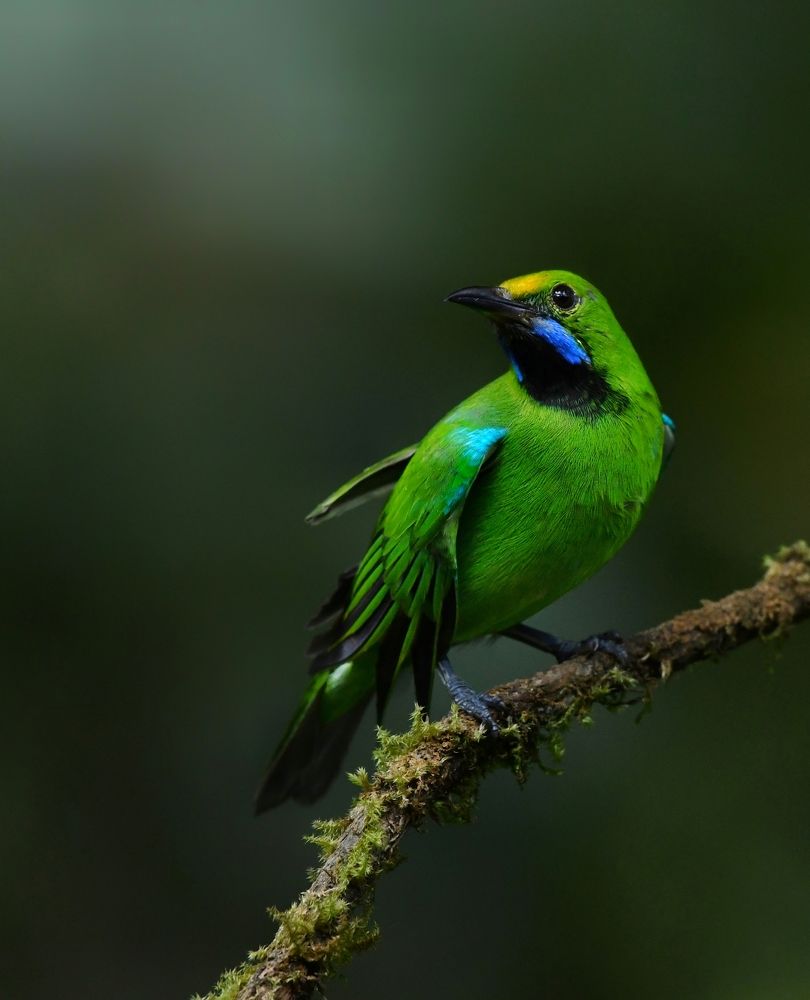 Photograph by George S George