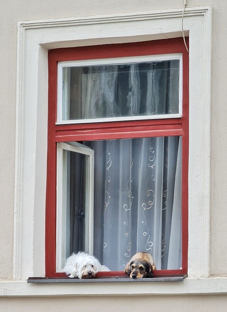 Фотография автора Igor Dyomin