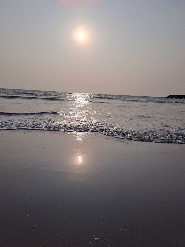 Photograph by Bibin PT