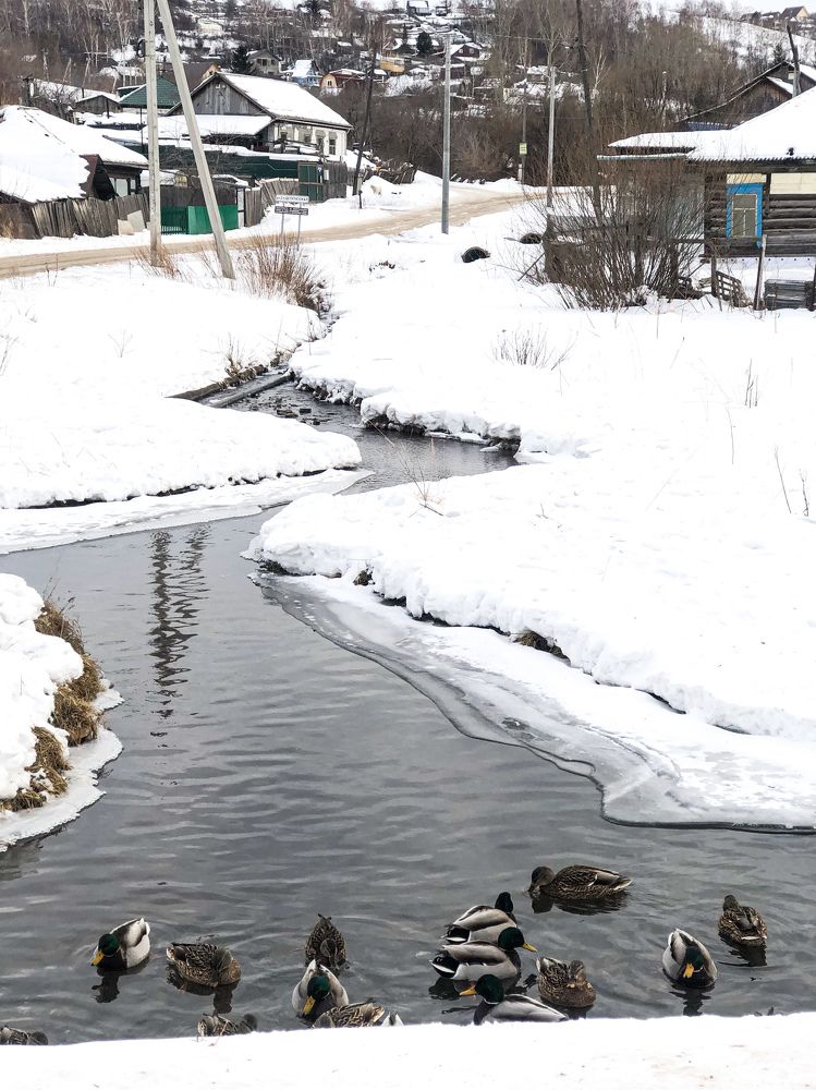 Фотография автора Светлана Гончарова