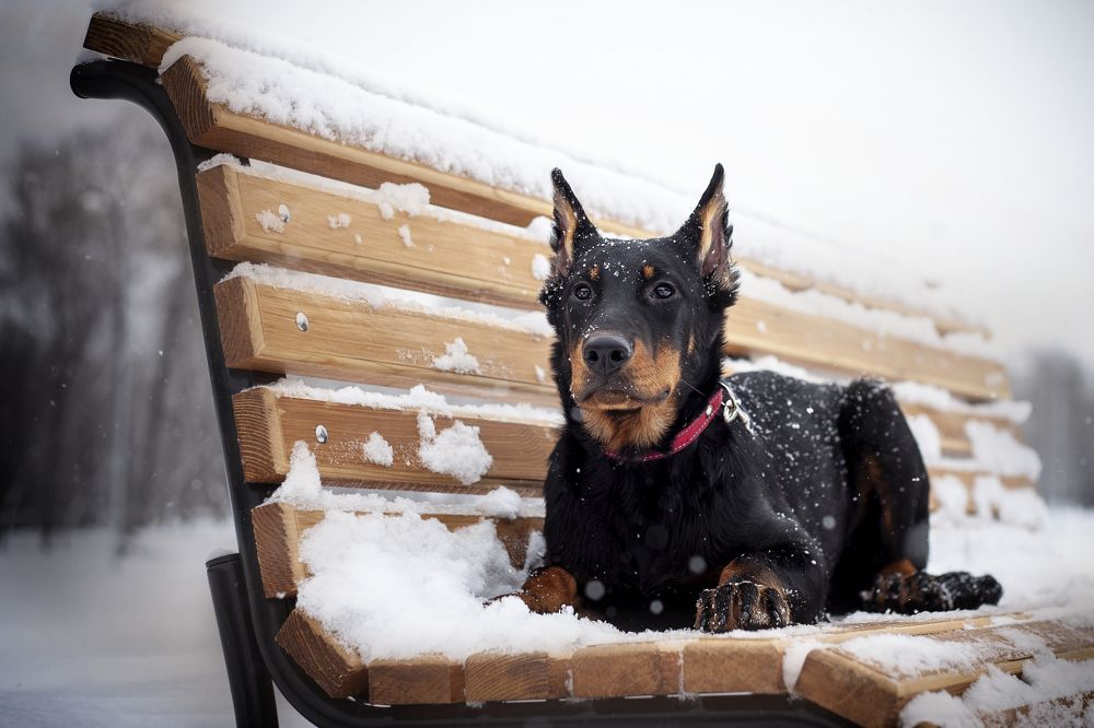 Photograph by Кристина Пушкина