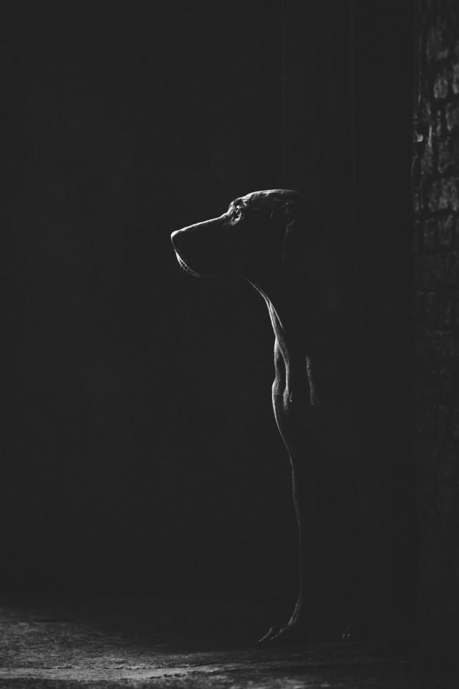 Photograph by Elke Braet