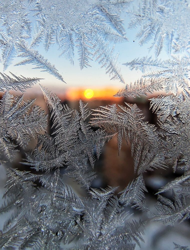 Photograph by Natalia Bolotenkova