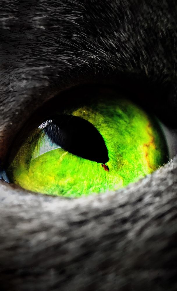 Photograph by Елена Громова