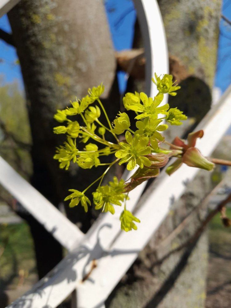 Фотография автора Владислава Андрюнина