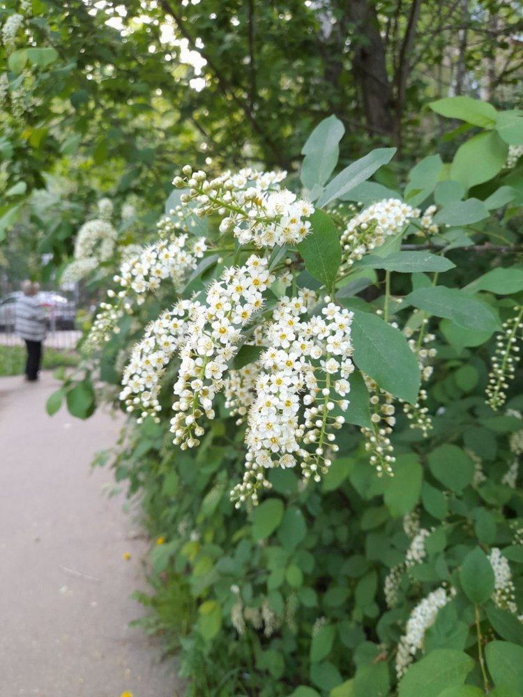 Фотография автора Владислава Андрюнина