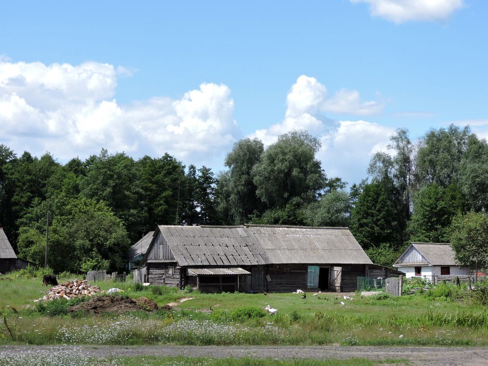 Photograph by Tatiana