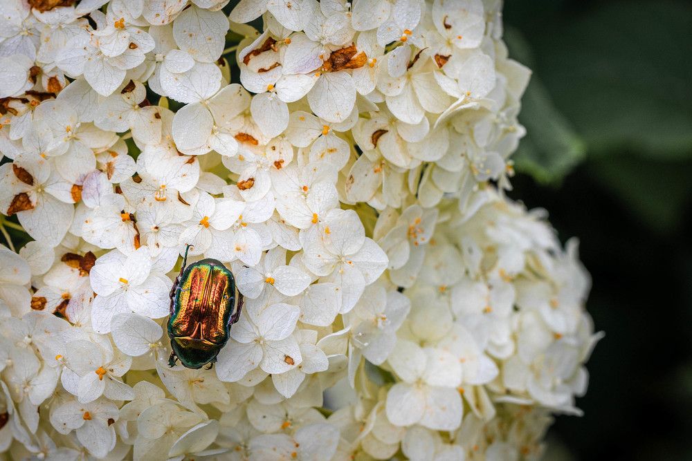 Photograph by Андрей Валерьевич