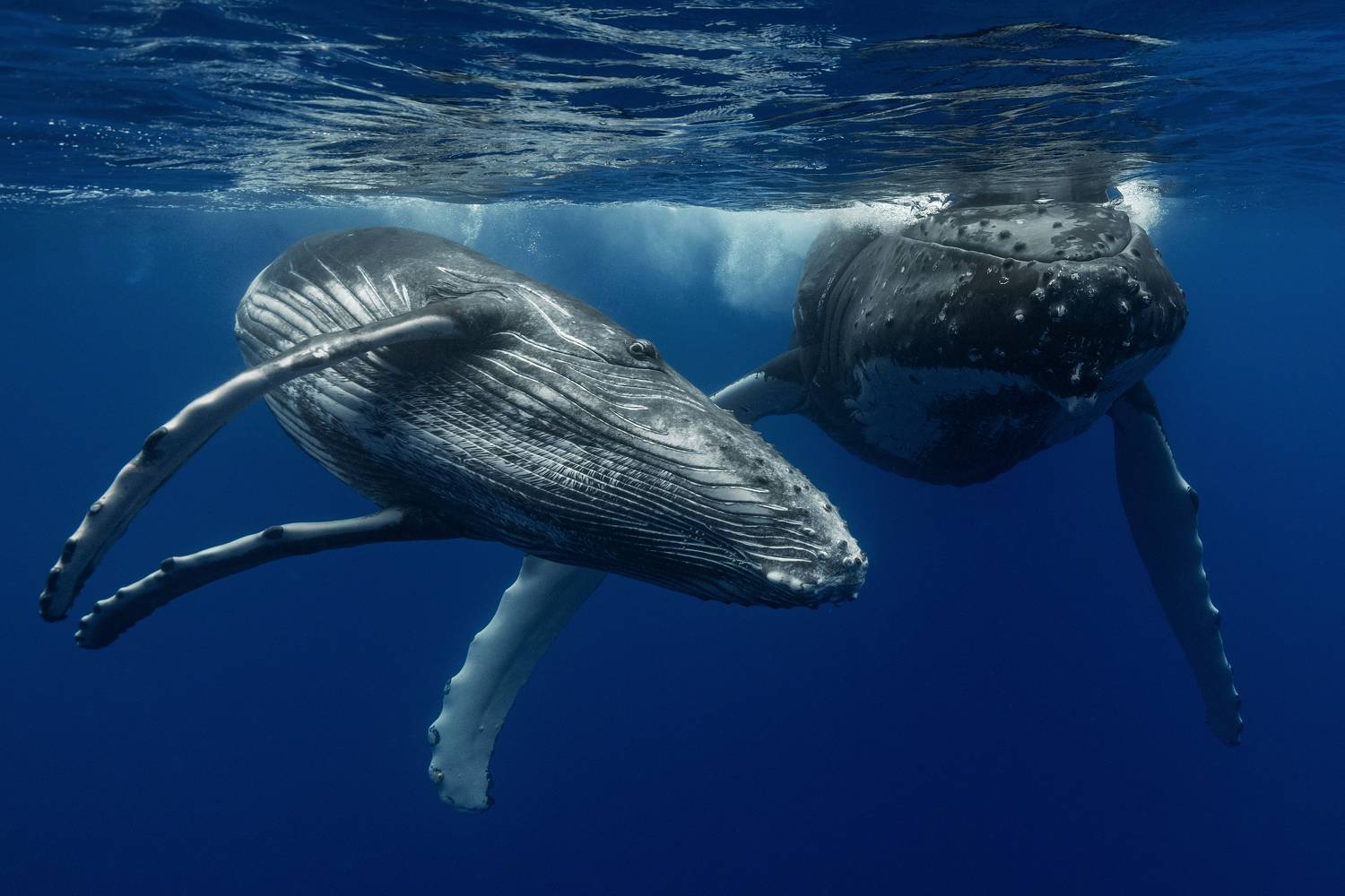 Фотография #10267944