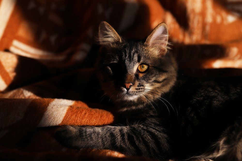 Photograph by Константин Лагоденко