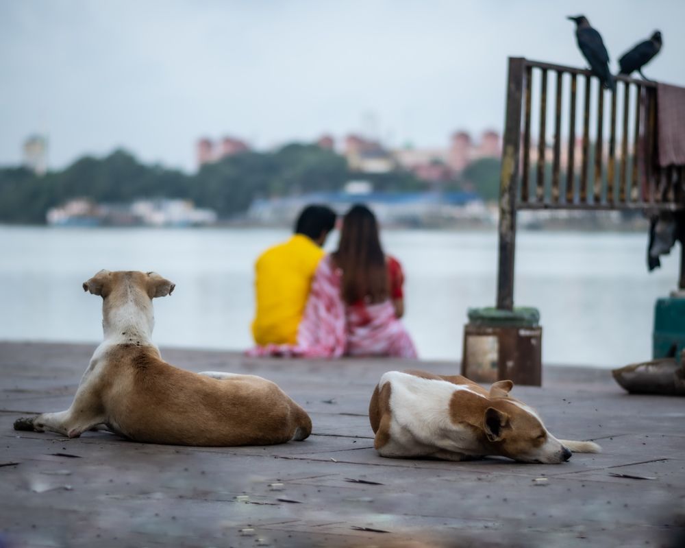 Photograph by Amit Singla