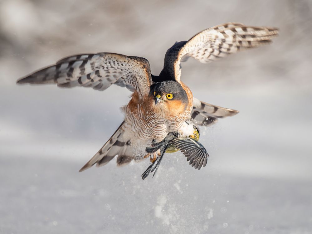 Photograph by Дэм Константин