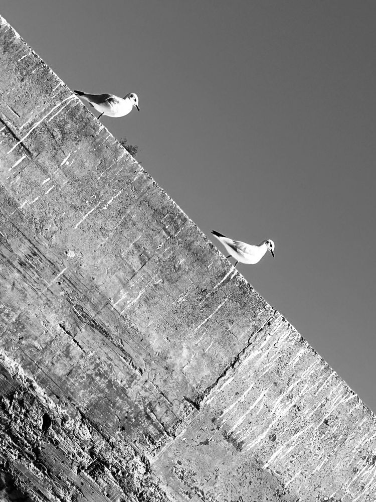 Photograph by Оксана Соколова