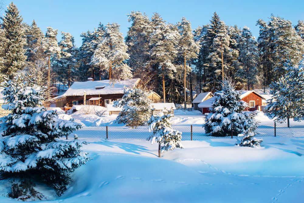 Photograph by Наталья Зверева