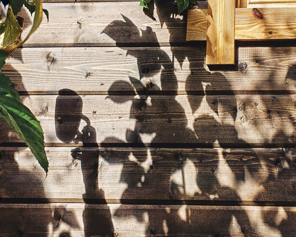 Photograph by Ольга Третьякова