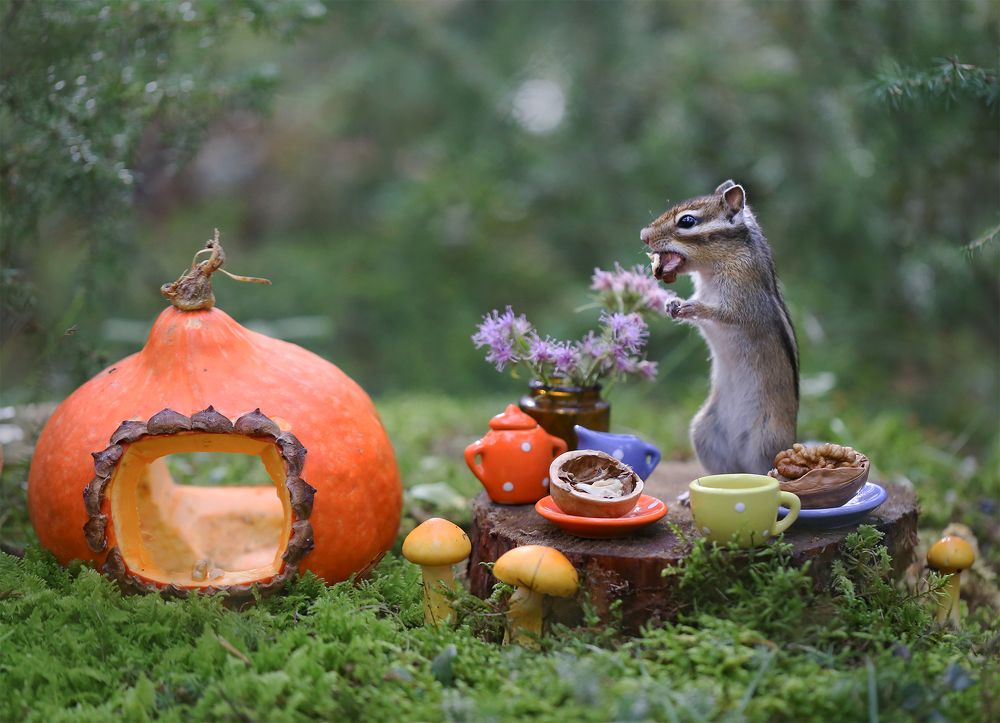 Photograph by Евгения Левина