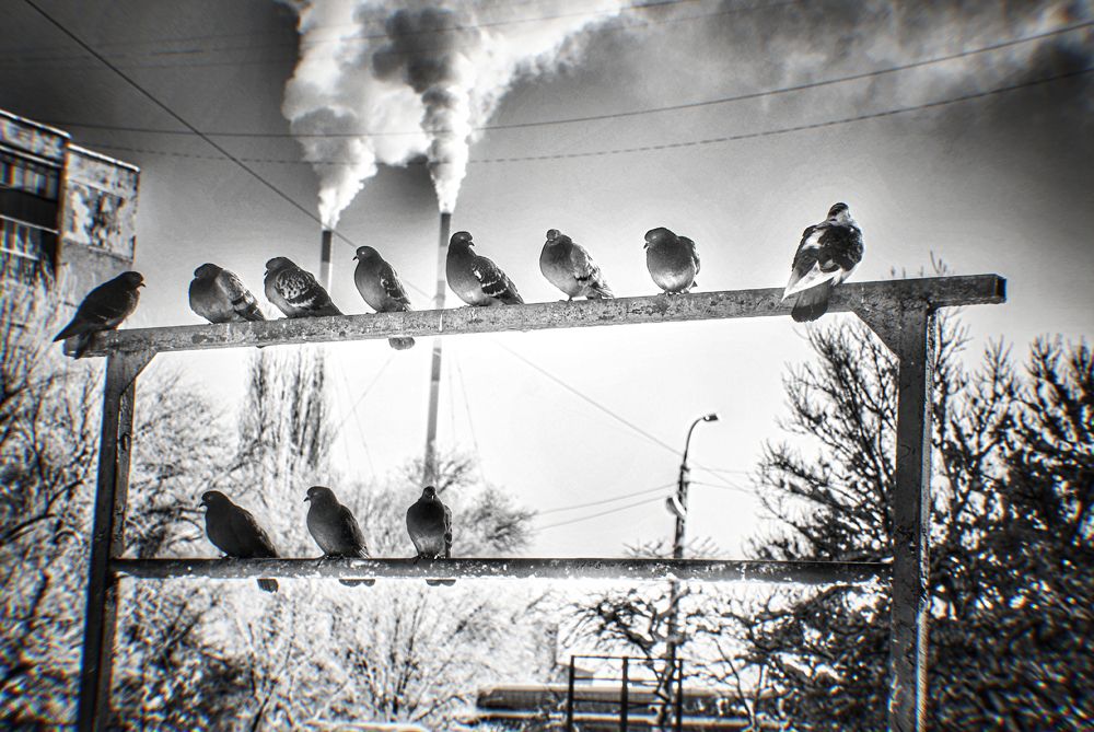 Photograph by Анна Берневик