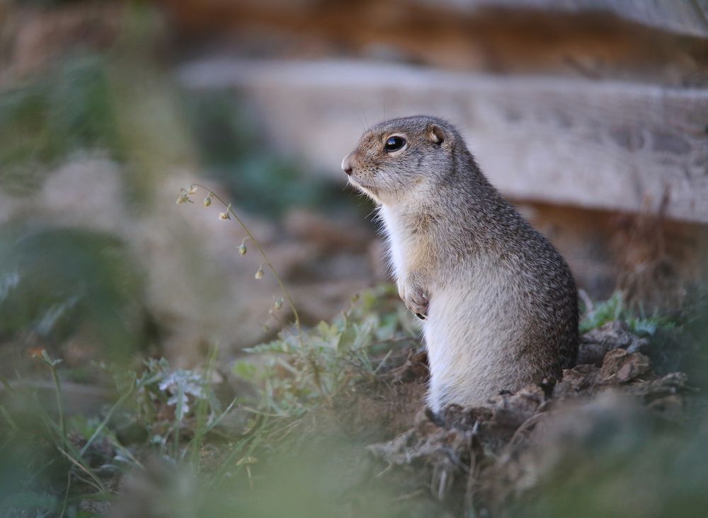 Photograph by Евгения Левина