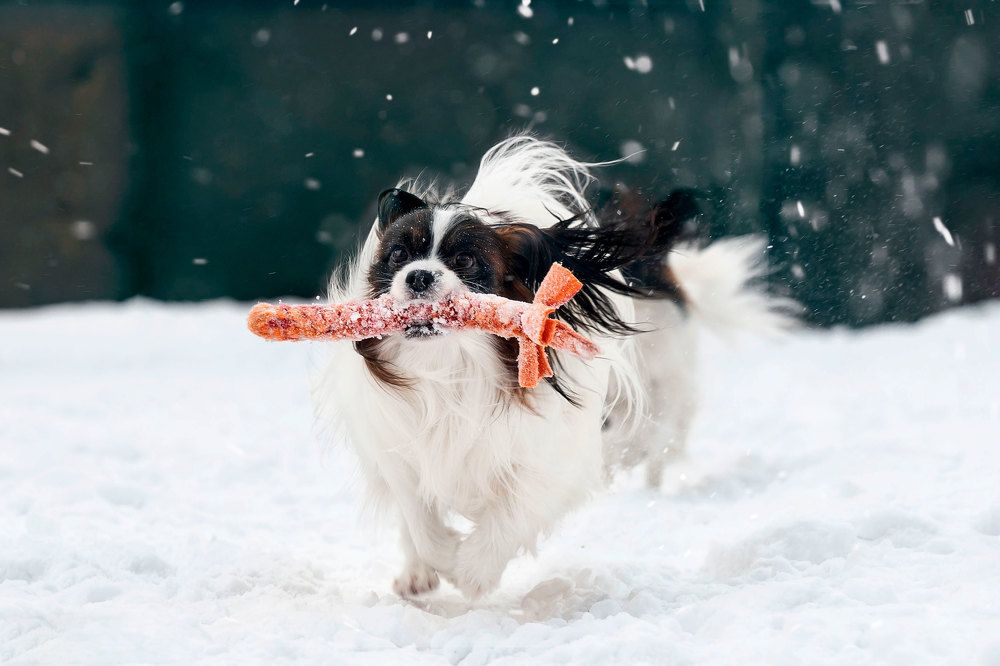 Photograph by Ника Ника