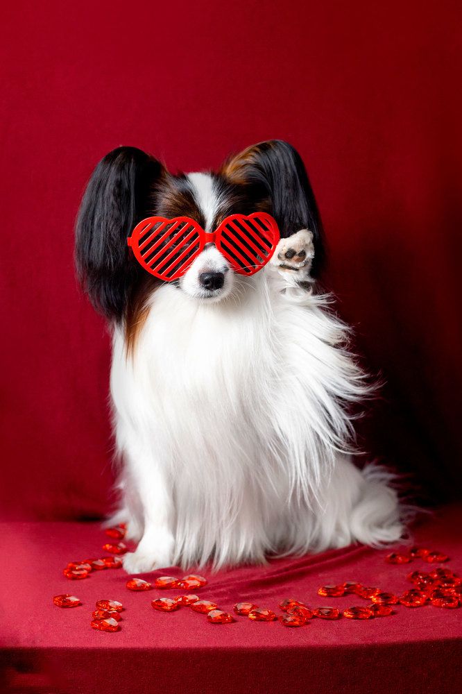 Photograph by Ника Ника