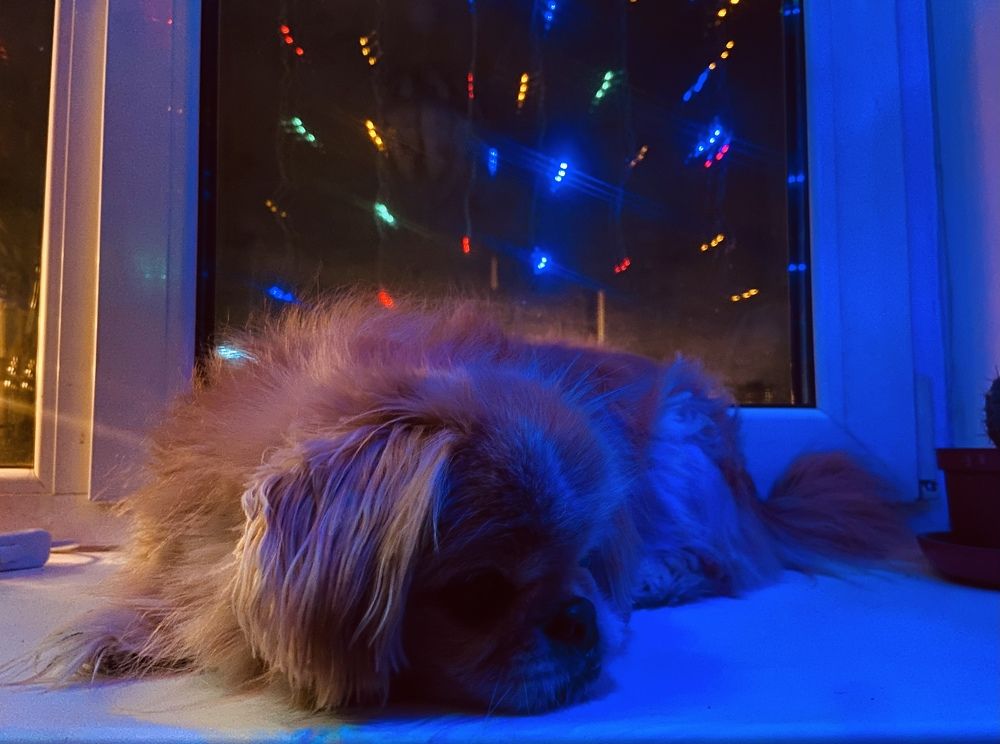 Photograph by Наталья