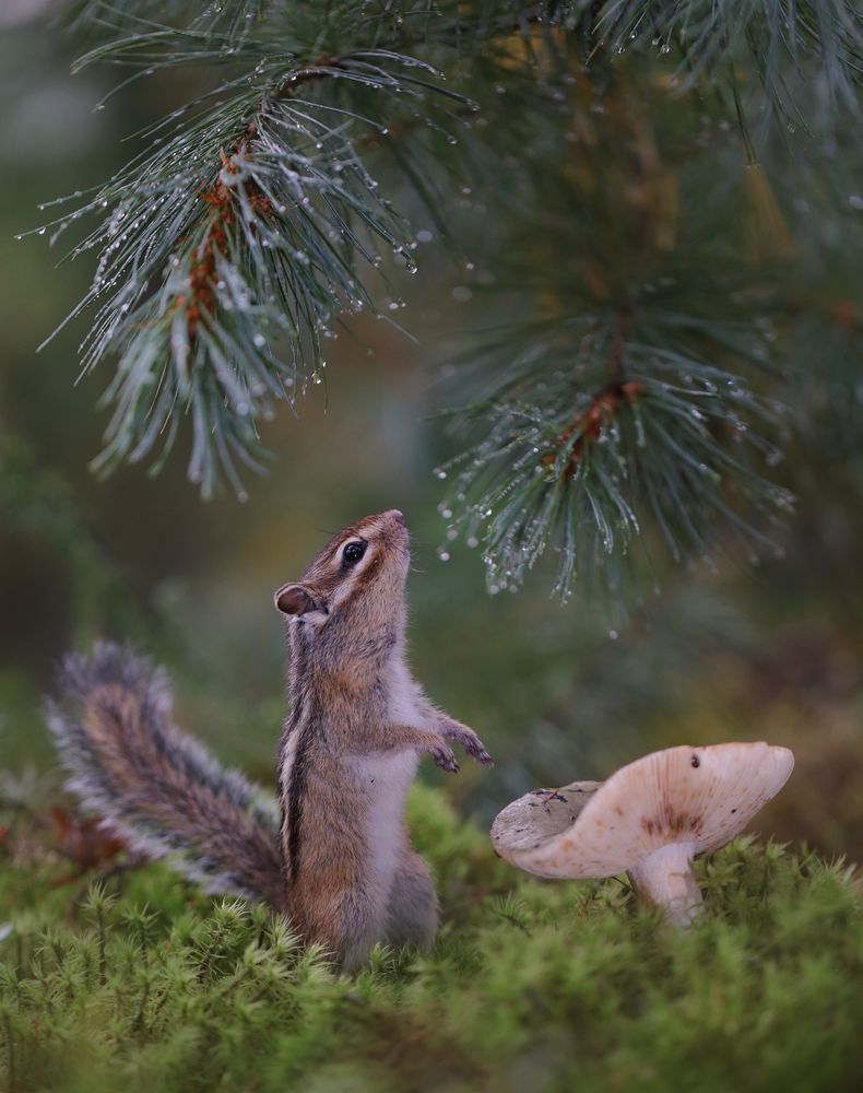 Photograph by Евгения Левина