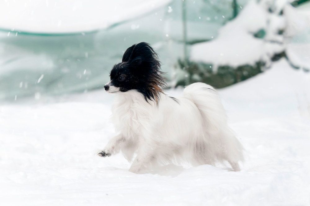 Photograph by Ника Ника