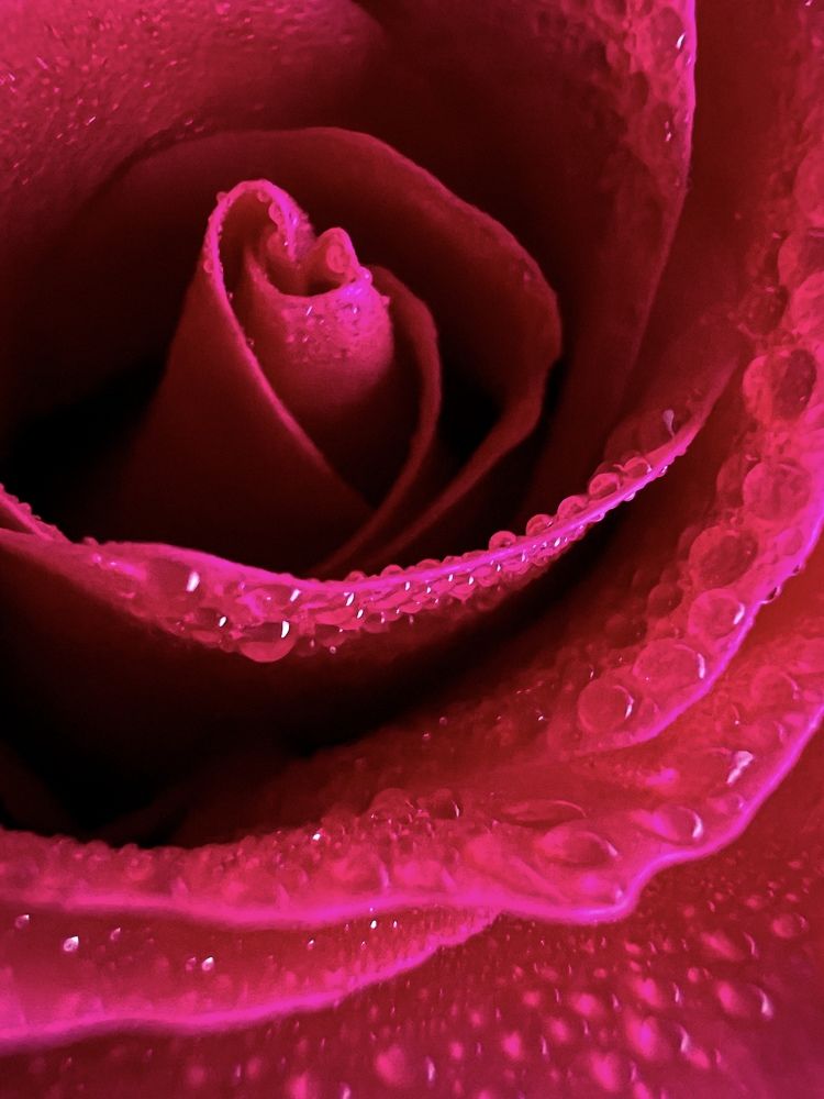 Photograph by Татьяна Зенина