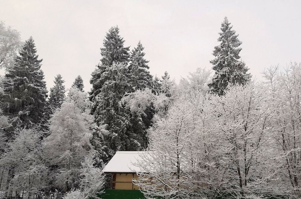 Фотография автора Можаев Сергей