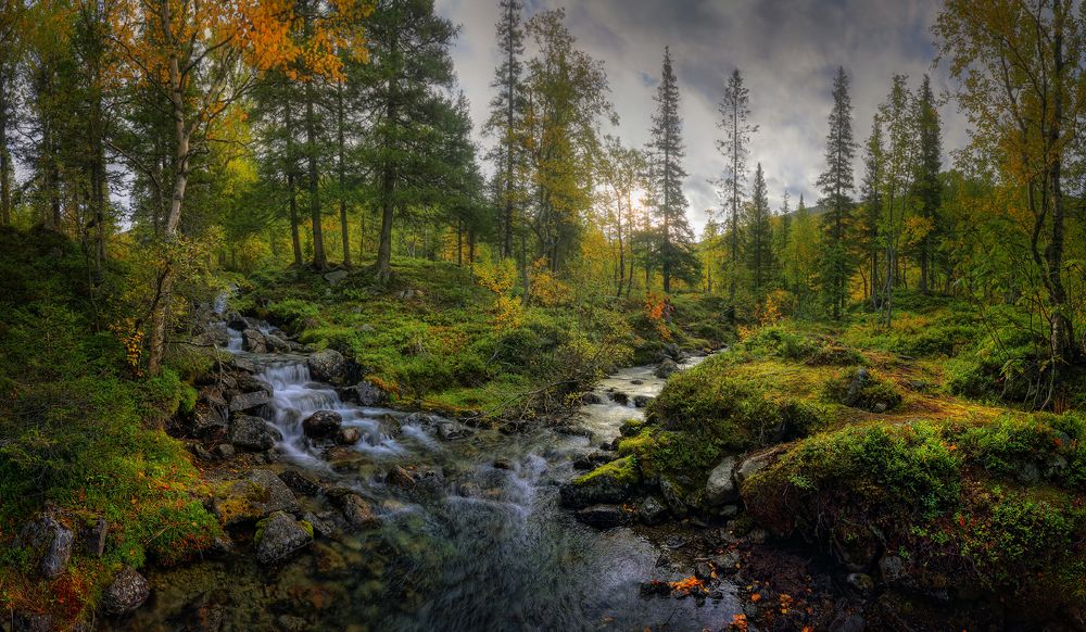 На стыке двух ручьев