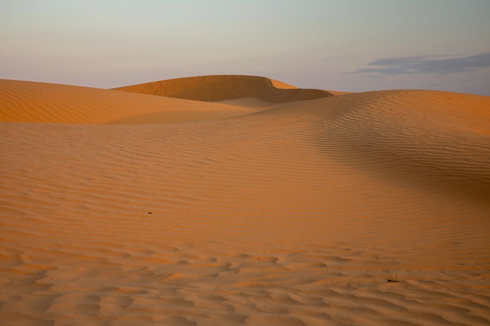 Photograph by Светлана Тараканова