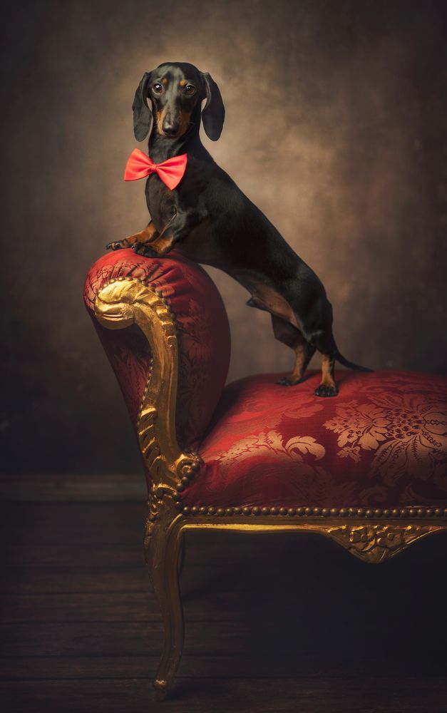 Photograph by Tímea Tóthné Zabos