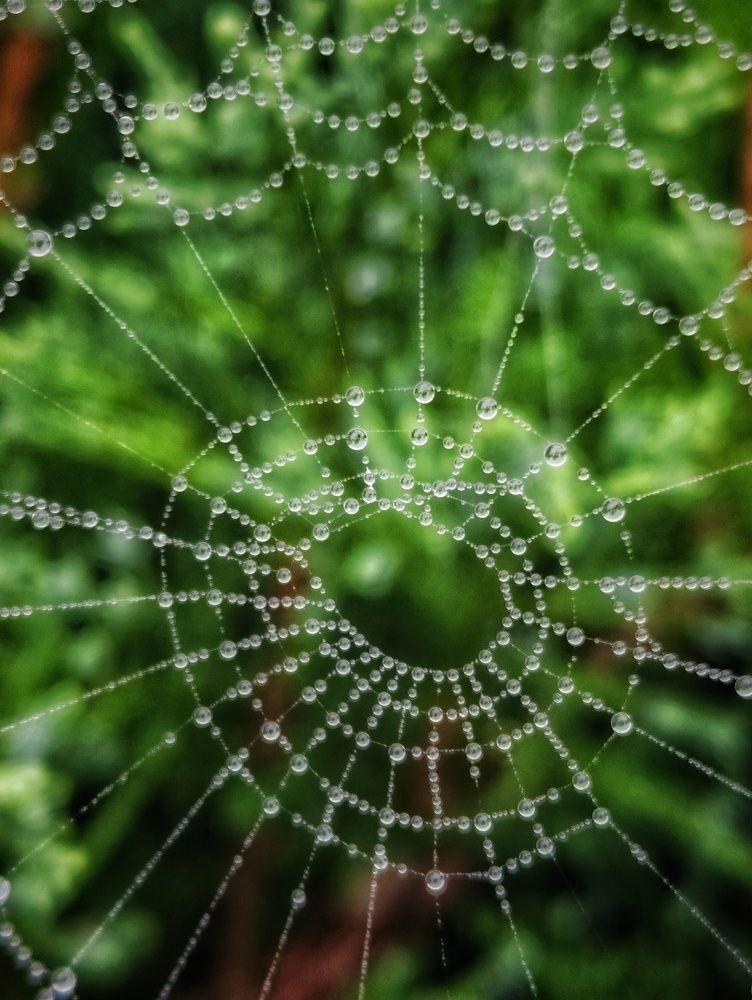 Photograph by Leanid Kulpo