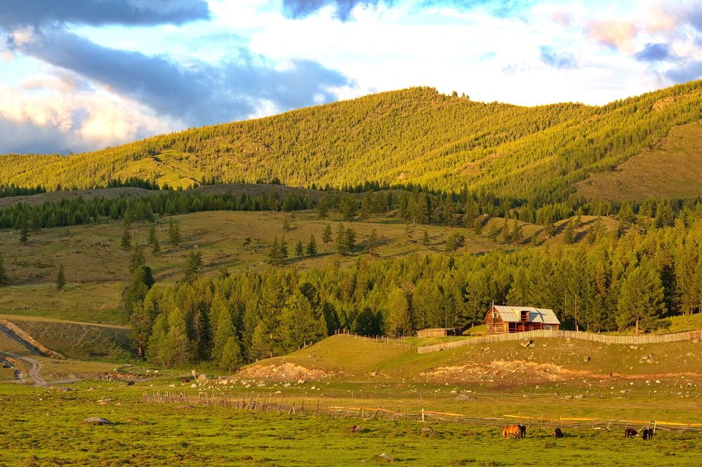 Photograph by Алексей Хазов