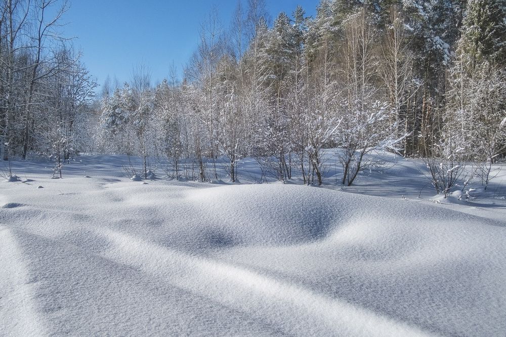 Photograph by Елена Ворошина