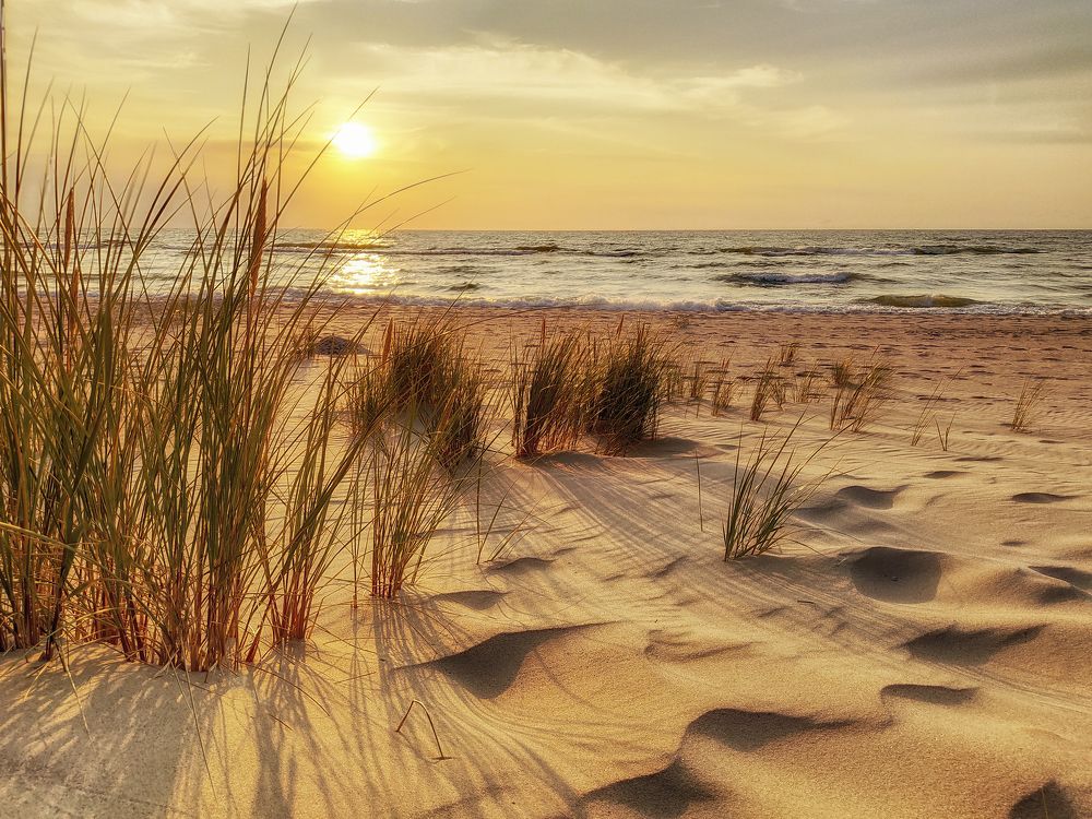 Photograph by Natalia Bolotenkova