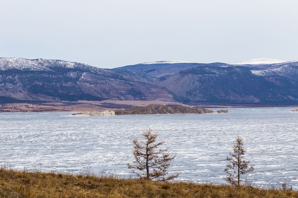 Фотография автора Оркина Ксения