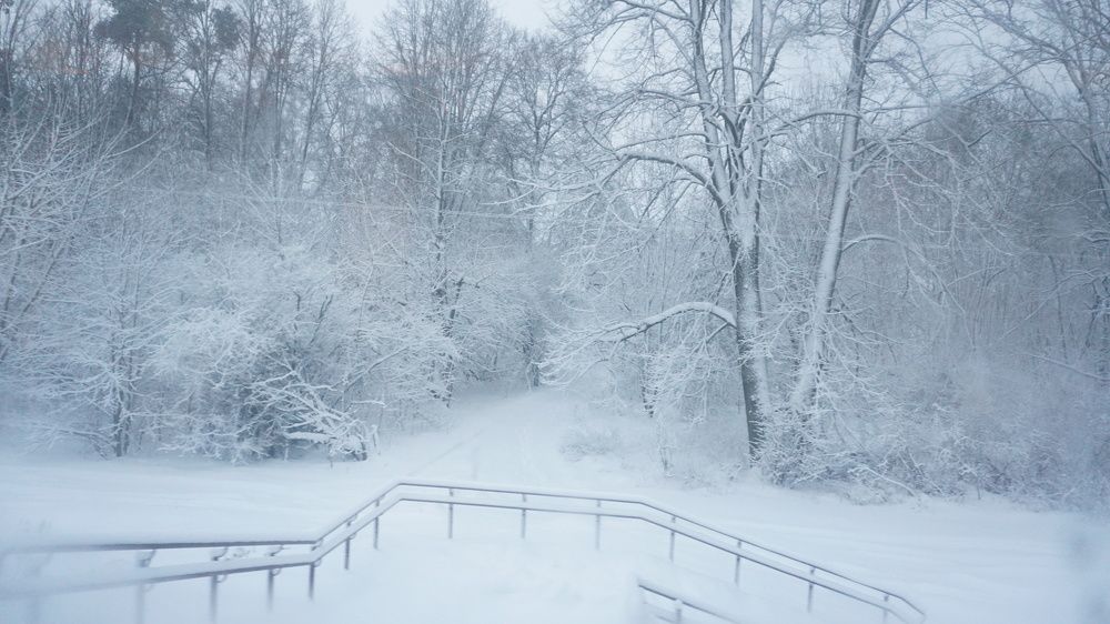 Photograph by Александра Пецевич